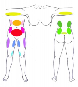 lipoareas