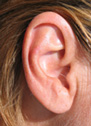ear-4