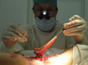 propeller-flap-slesarenko_2012