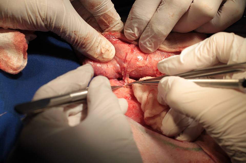 10411301_937808519580019_5841859055242712051_n