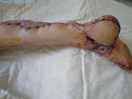 ???????????????????????????????